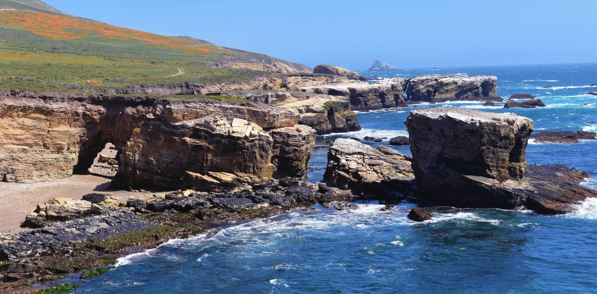 Pecho Coast 1.jpg